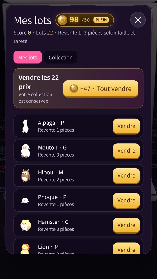 Captures d'écran 5